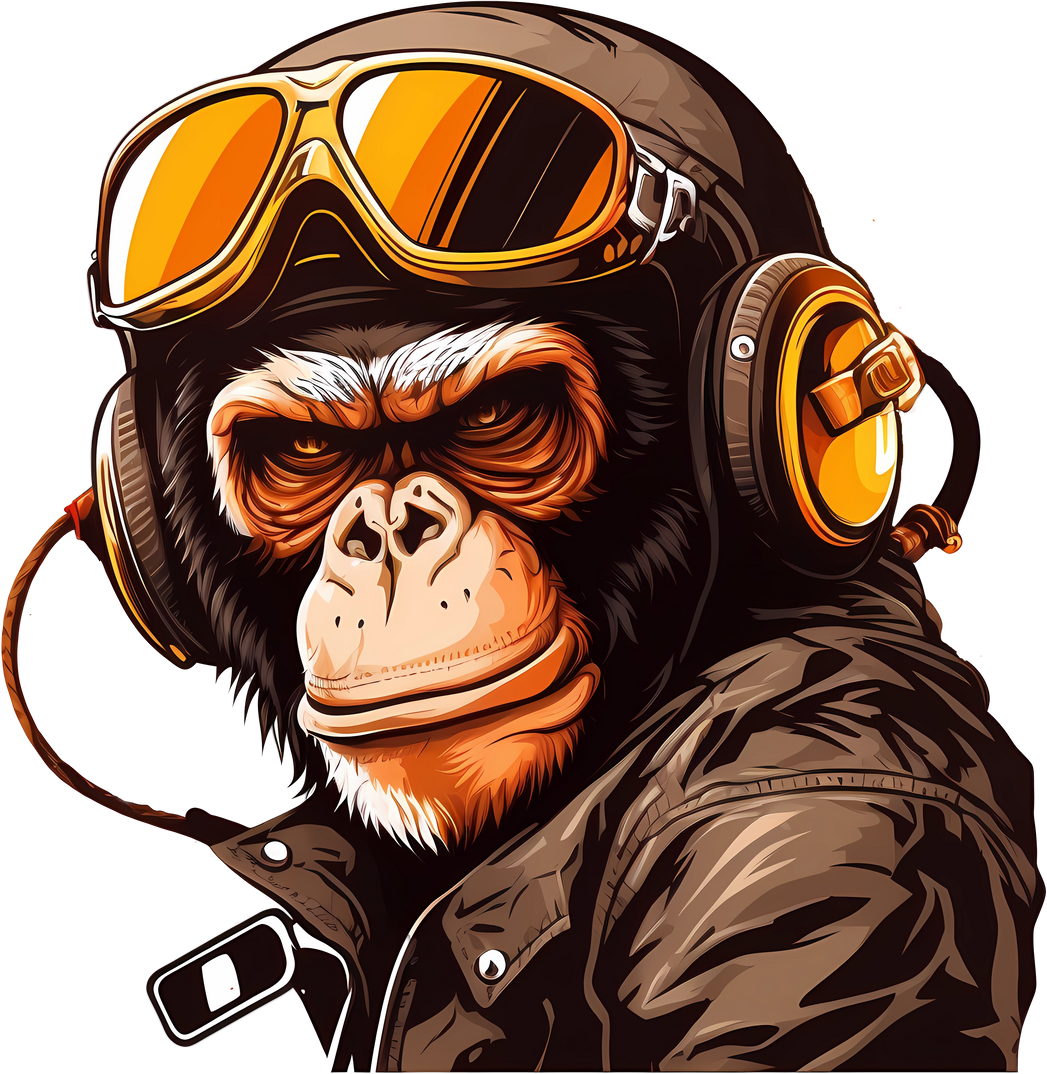 Monkey with helmet